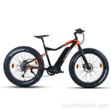 Bicicletta elettrica per pneumatici grassi XY-WARRIOR-M 1000W